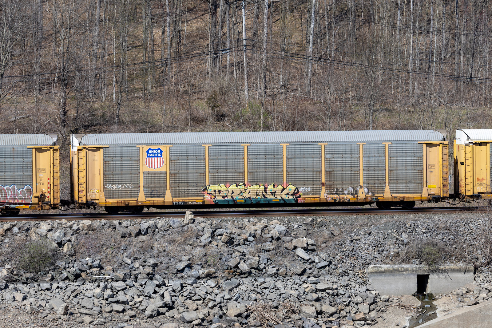 TTGX 994843