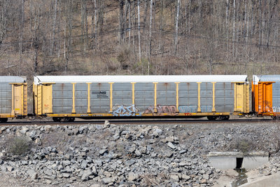 TTGX 963955