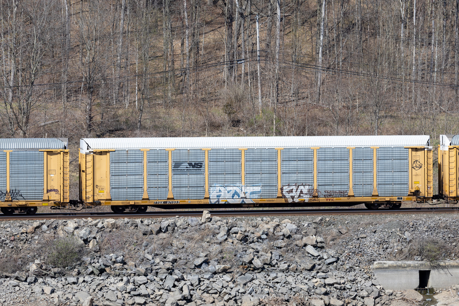 TTGX 971552
