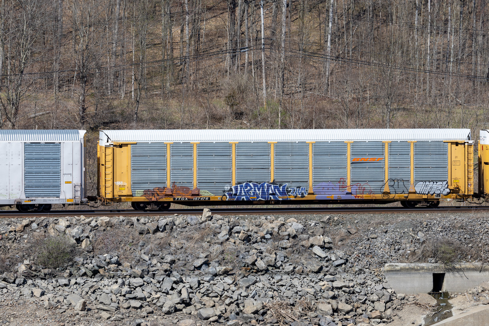 TTGX 157476