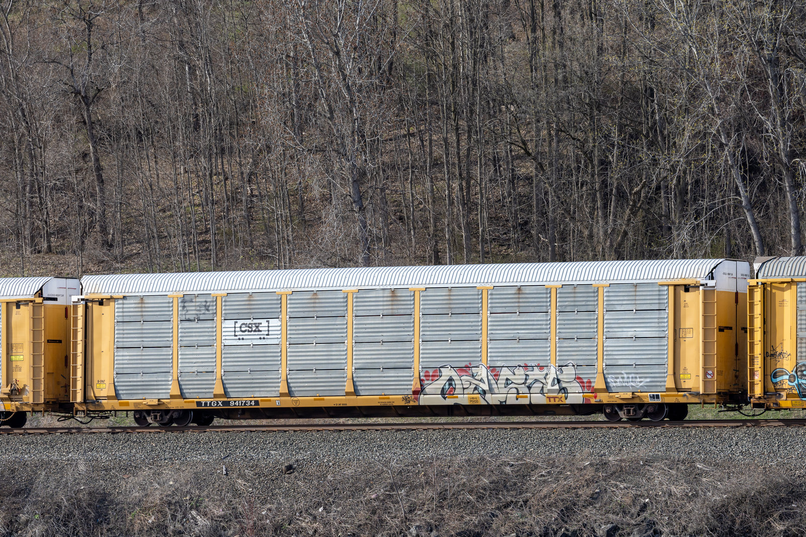 TTGX 941734