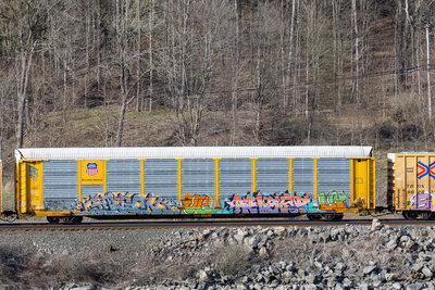 TTGX 973409