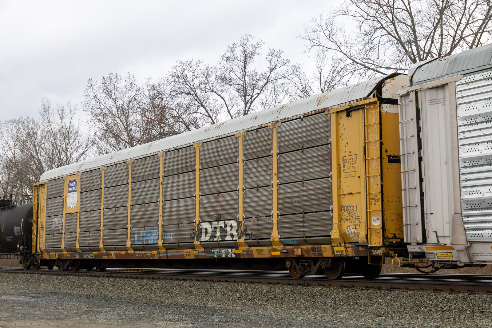 TTGX 963858