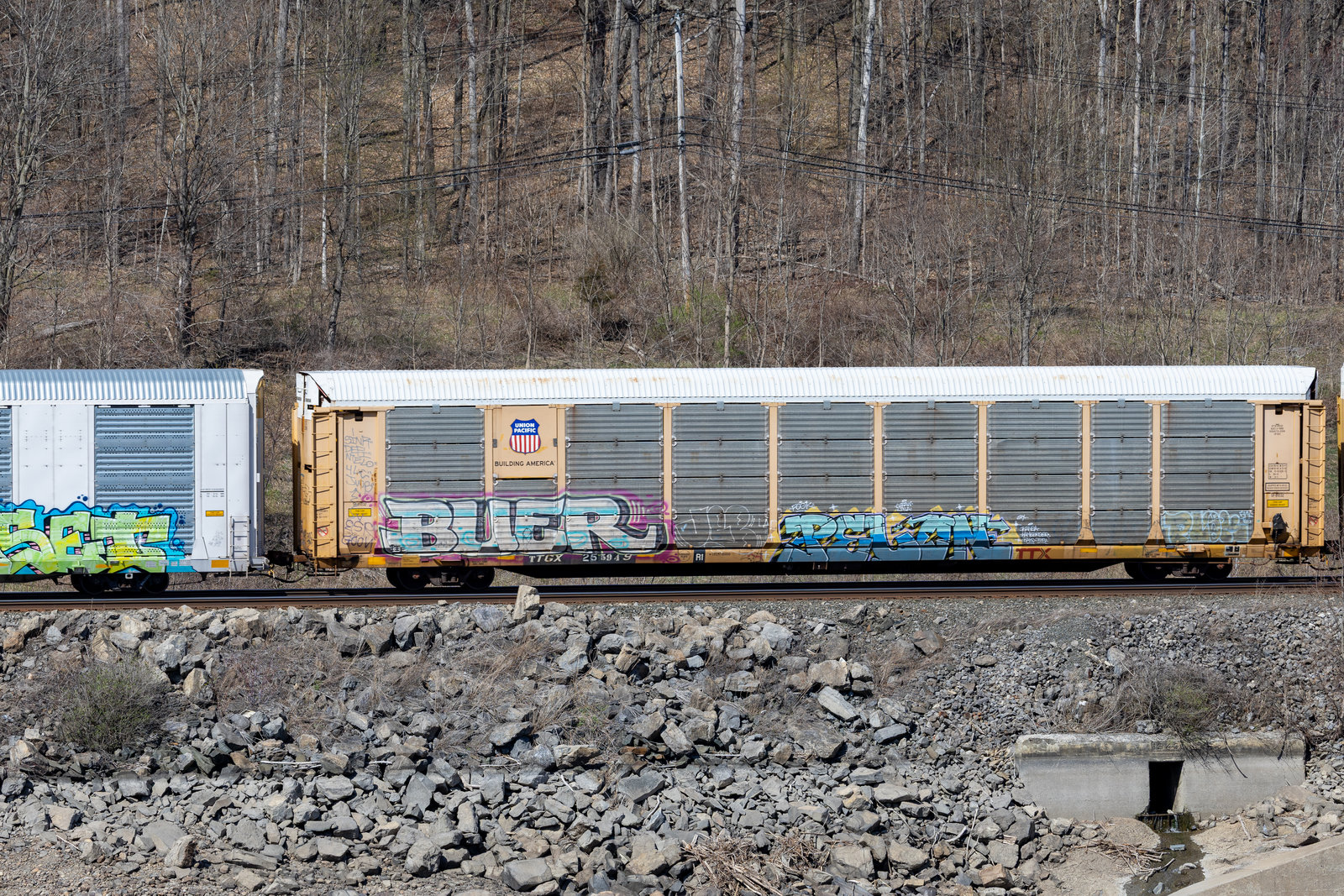 TTGX 255949