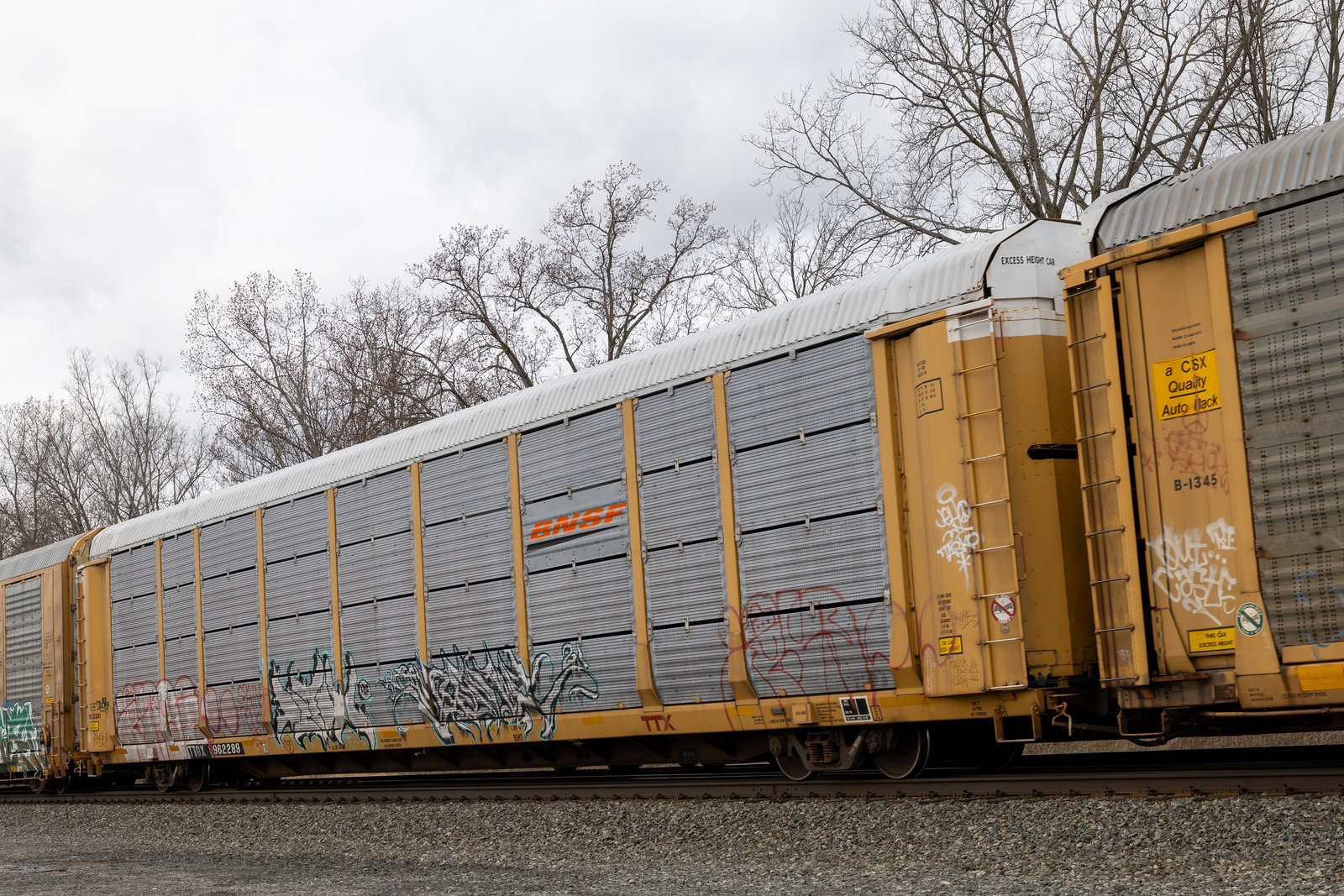 TTGX 962289