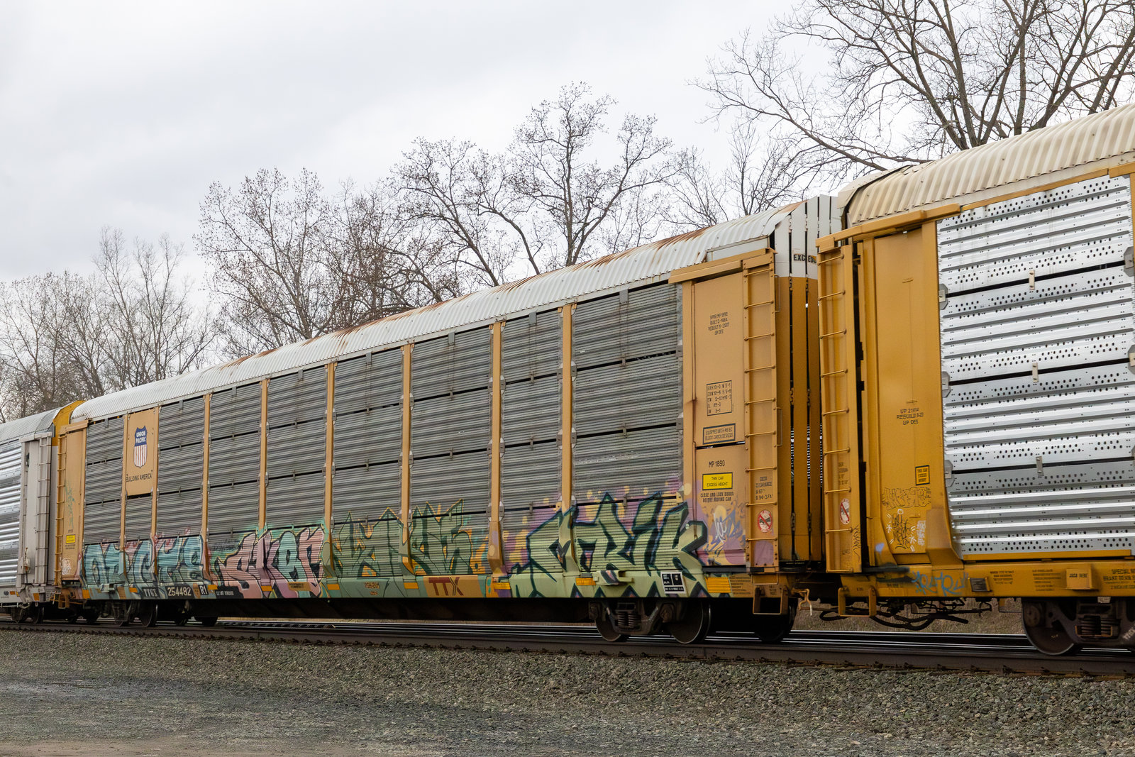TTGX 254482