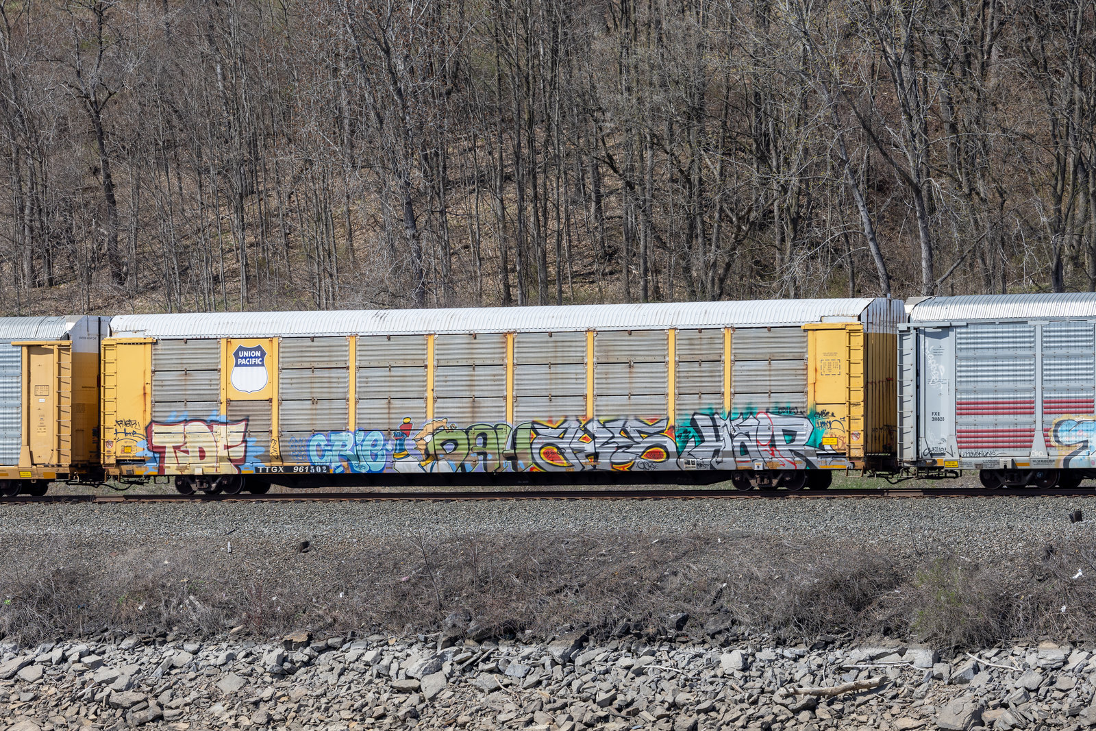 TTGX 961502