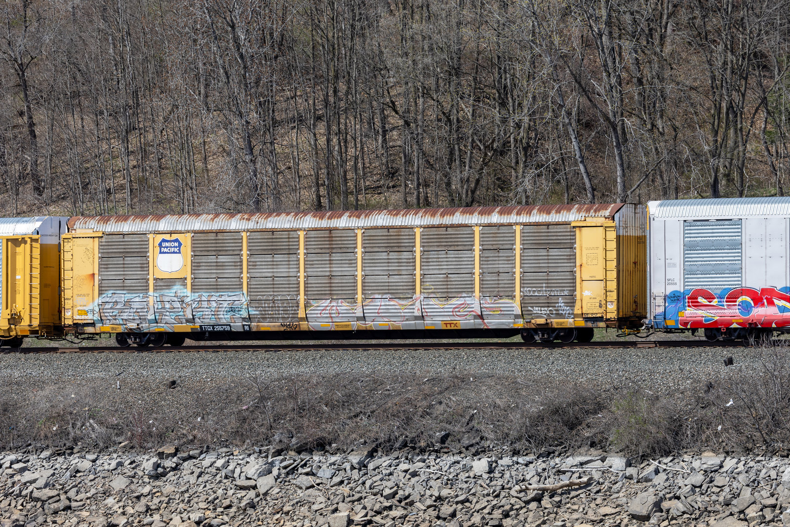 TTGX 255759