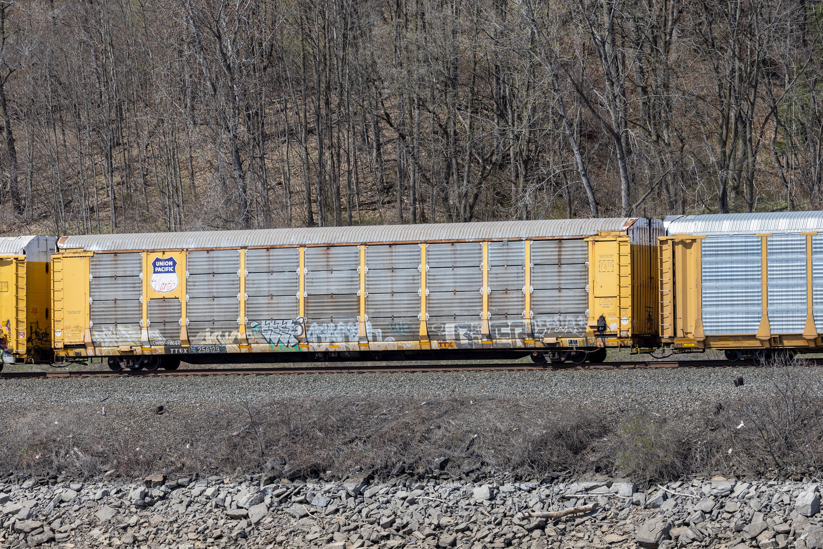 TTGX 256129