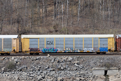 TTGX 961526