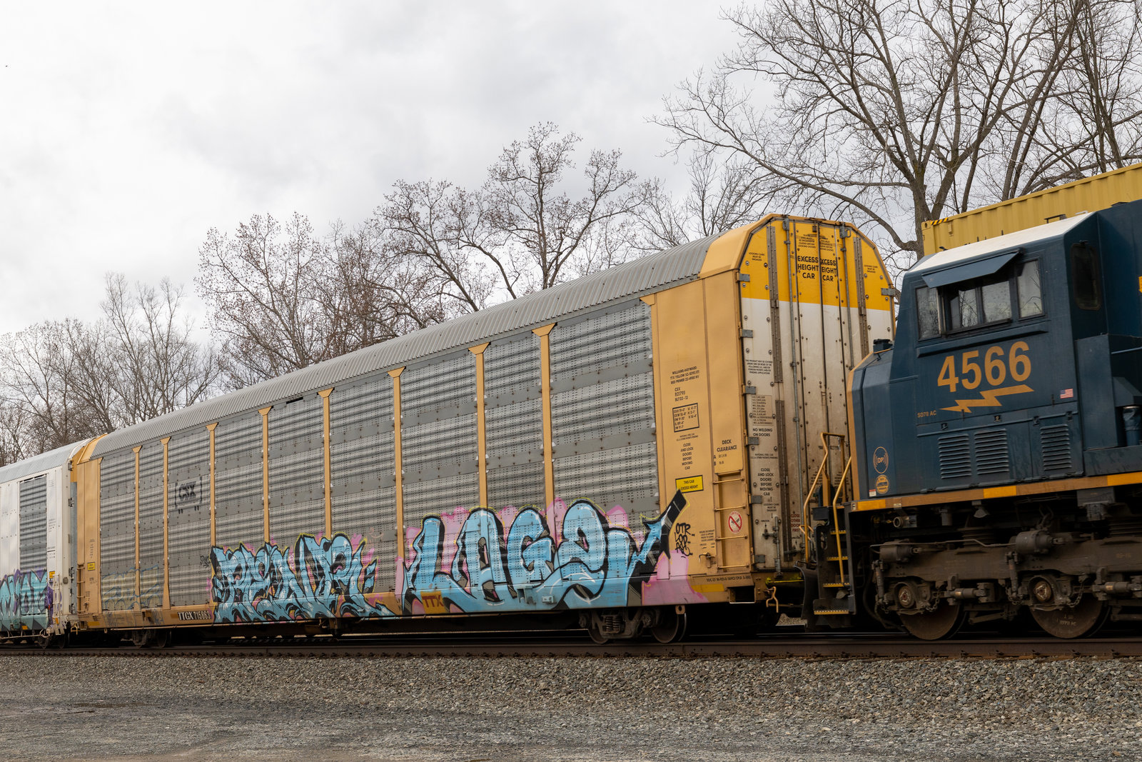 TTGX 715863