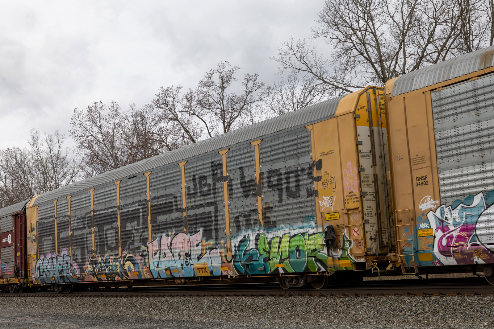 TTGX 715371