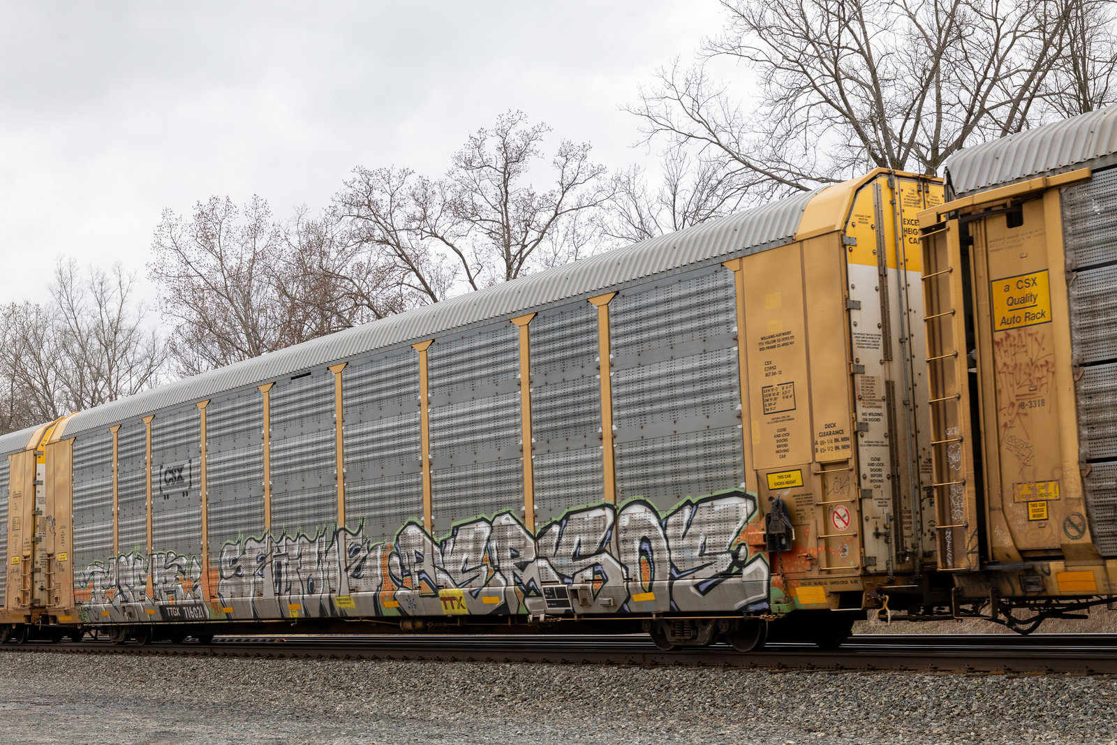 TTGX 716021