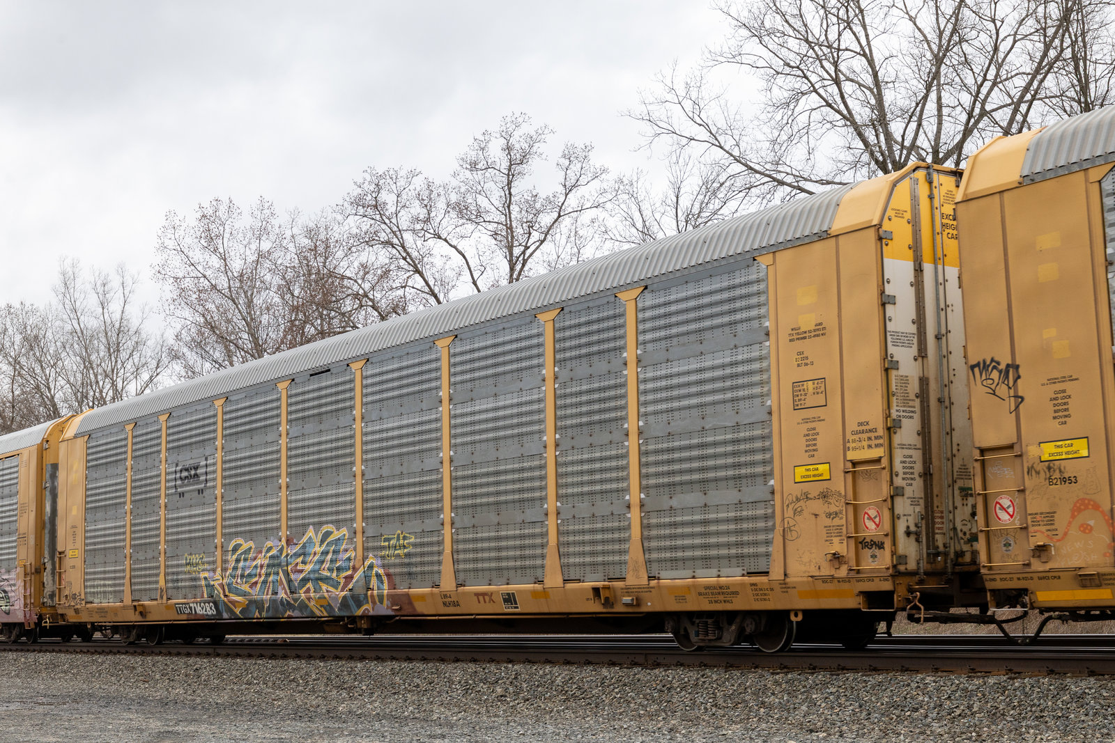 TTGX 716283