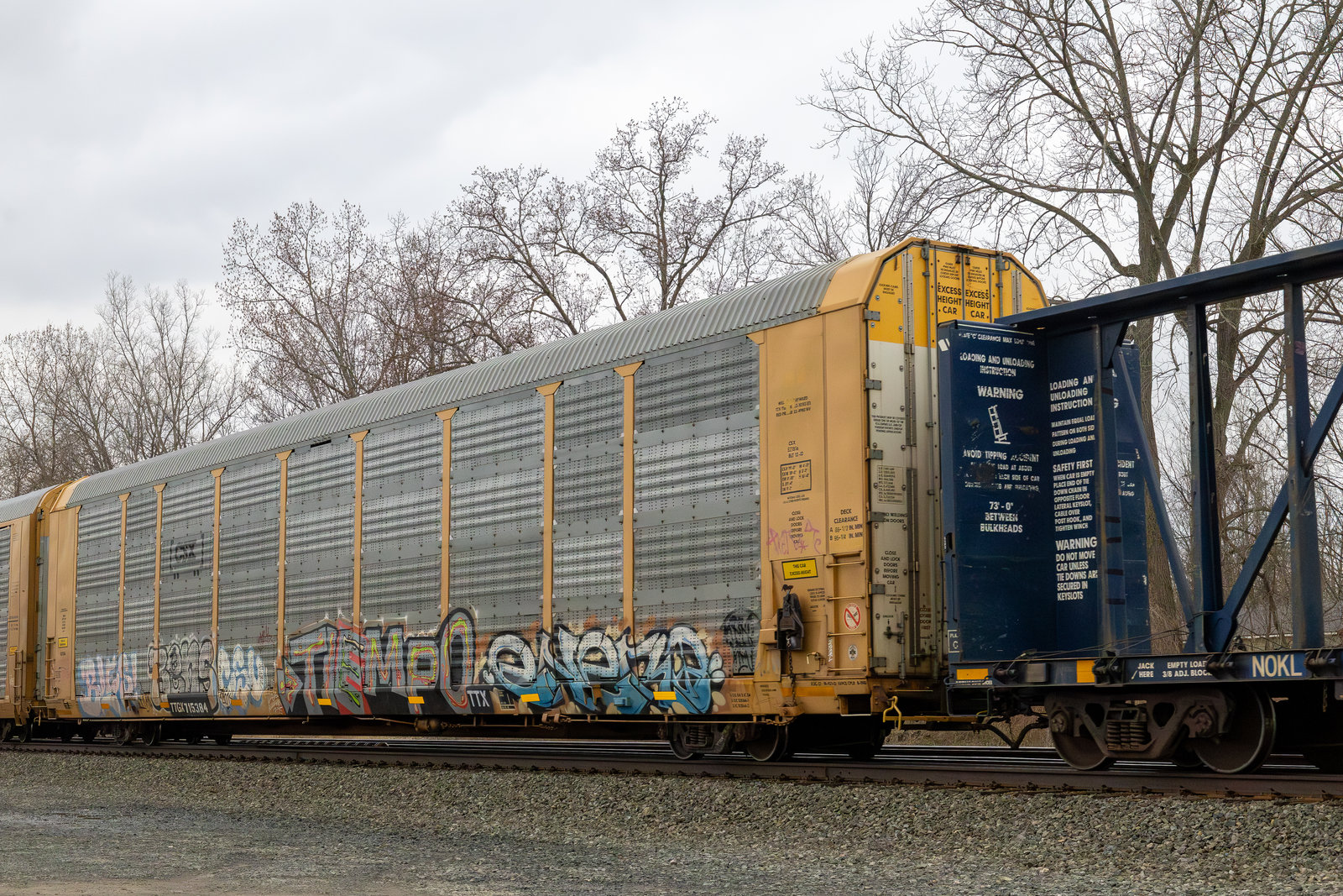 TTGX 715384