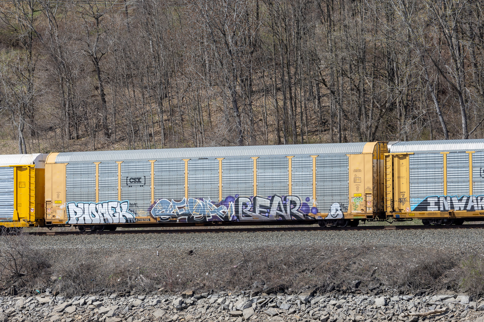 TTGX 715705