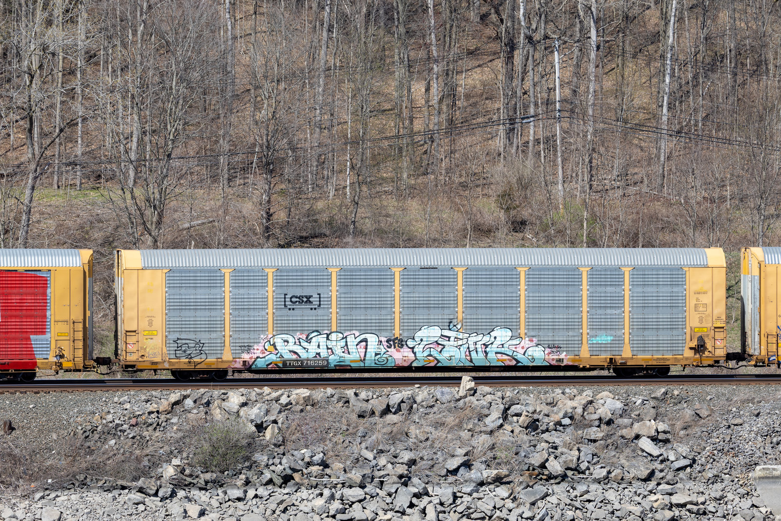 TTGX 716259