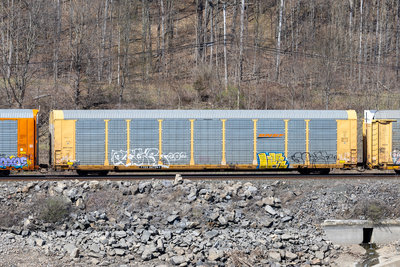 TTGX 967091