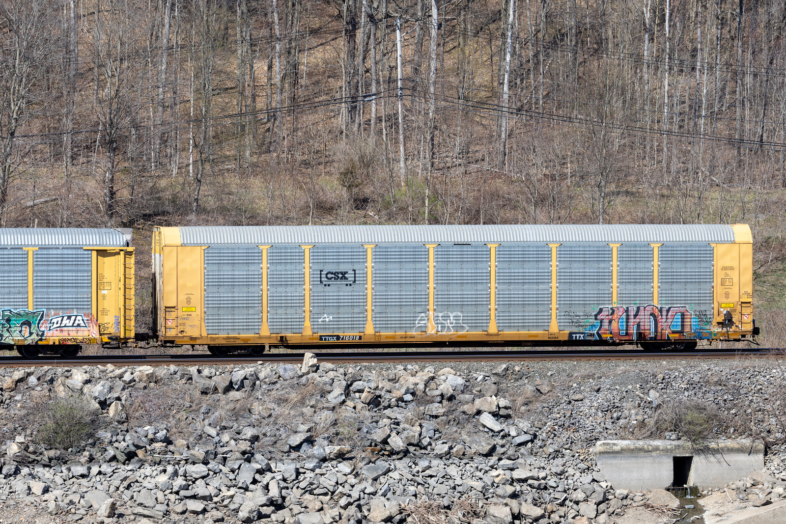 TTGX 716018