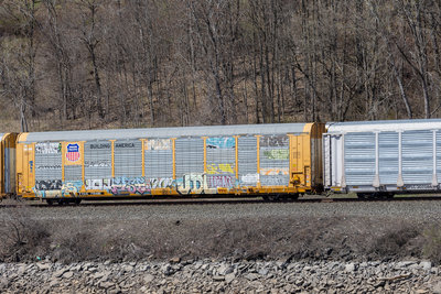 TTGX 715485