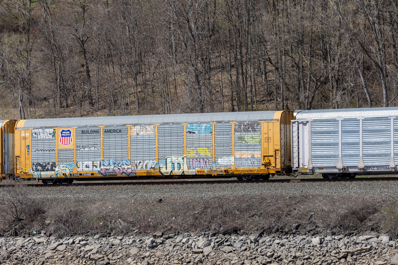 TTGX 715485