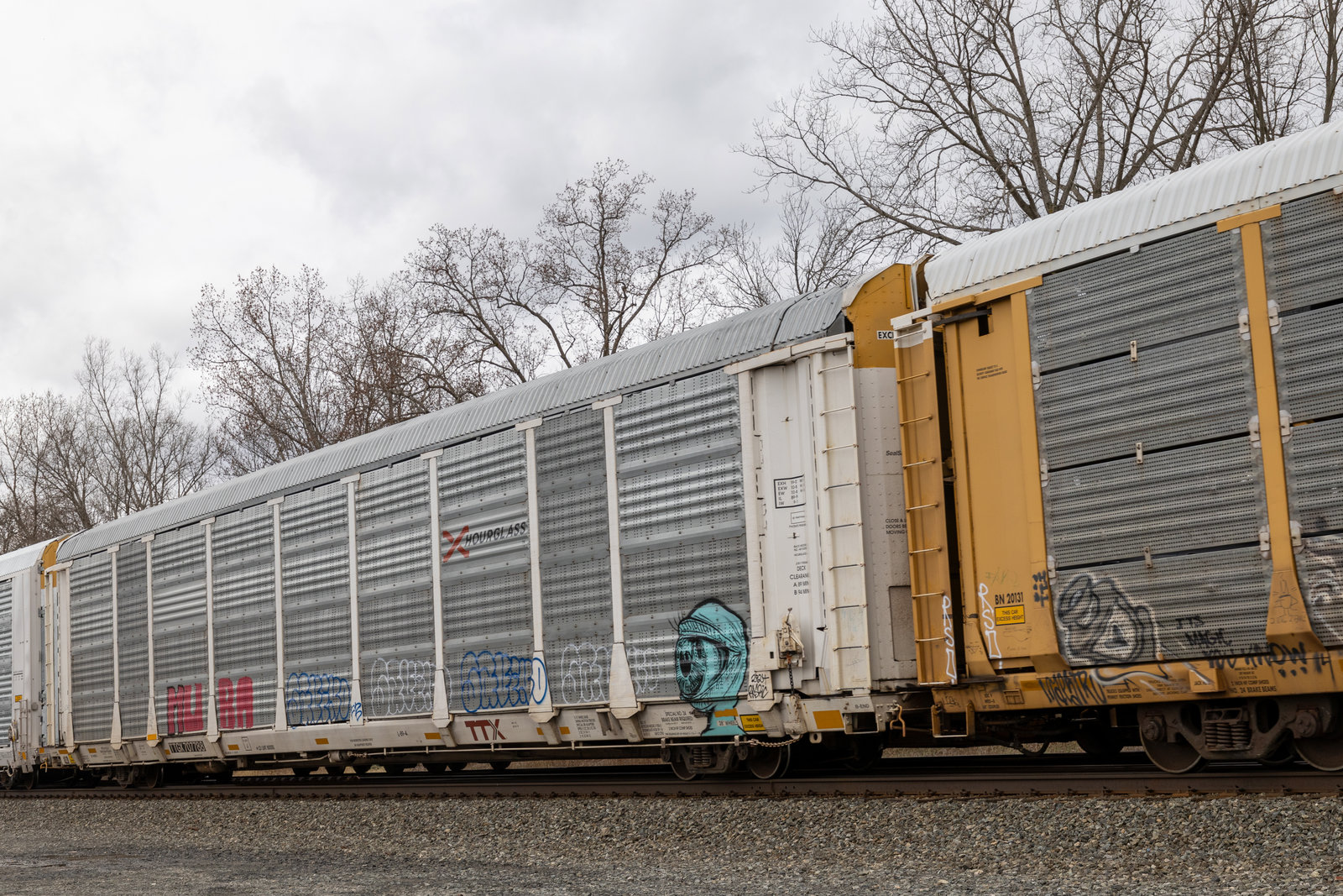 TTGX 707788