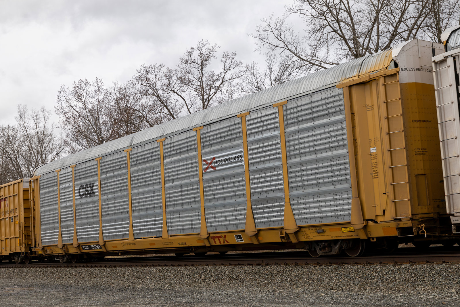 TTGX 709366