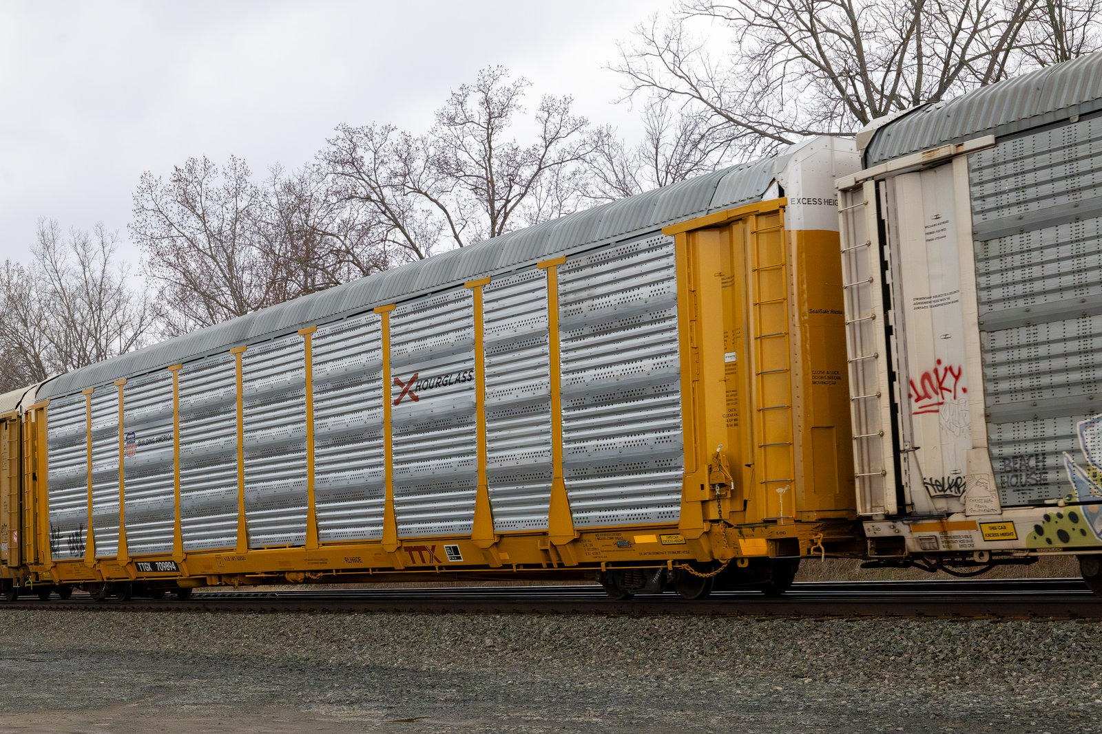 TTGX 709894