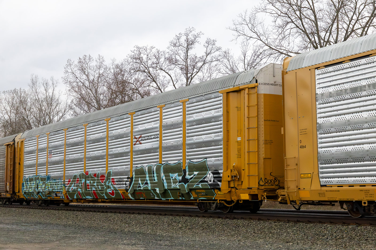 TTGX 709844