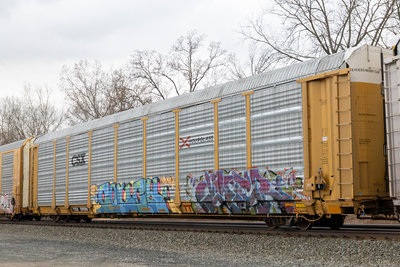TTGX 709286