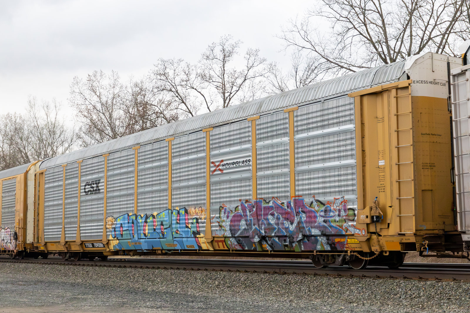 TTGX 709286