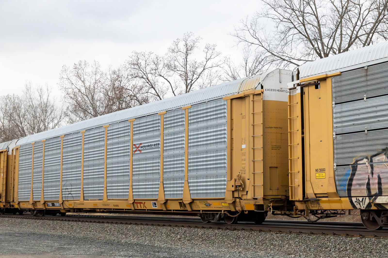 TTGX 701811