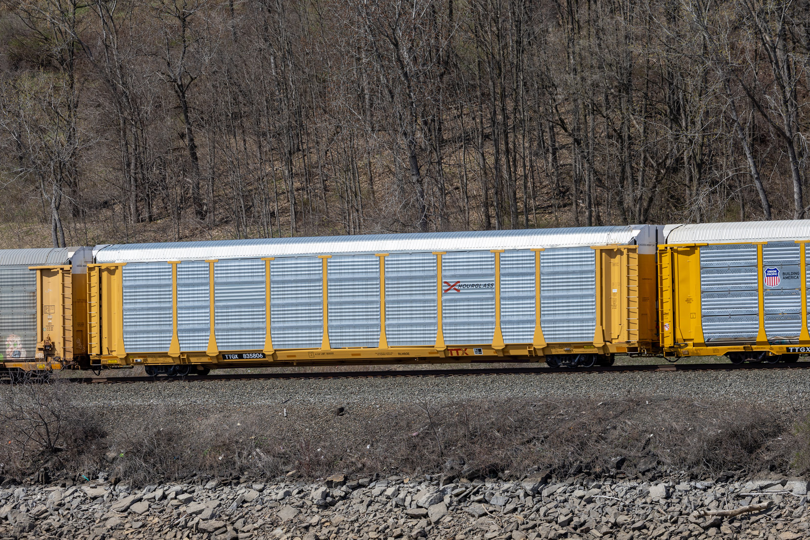 TTGX 835806