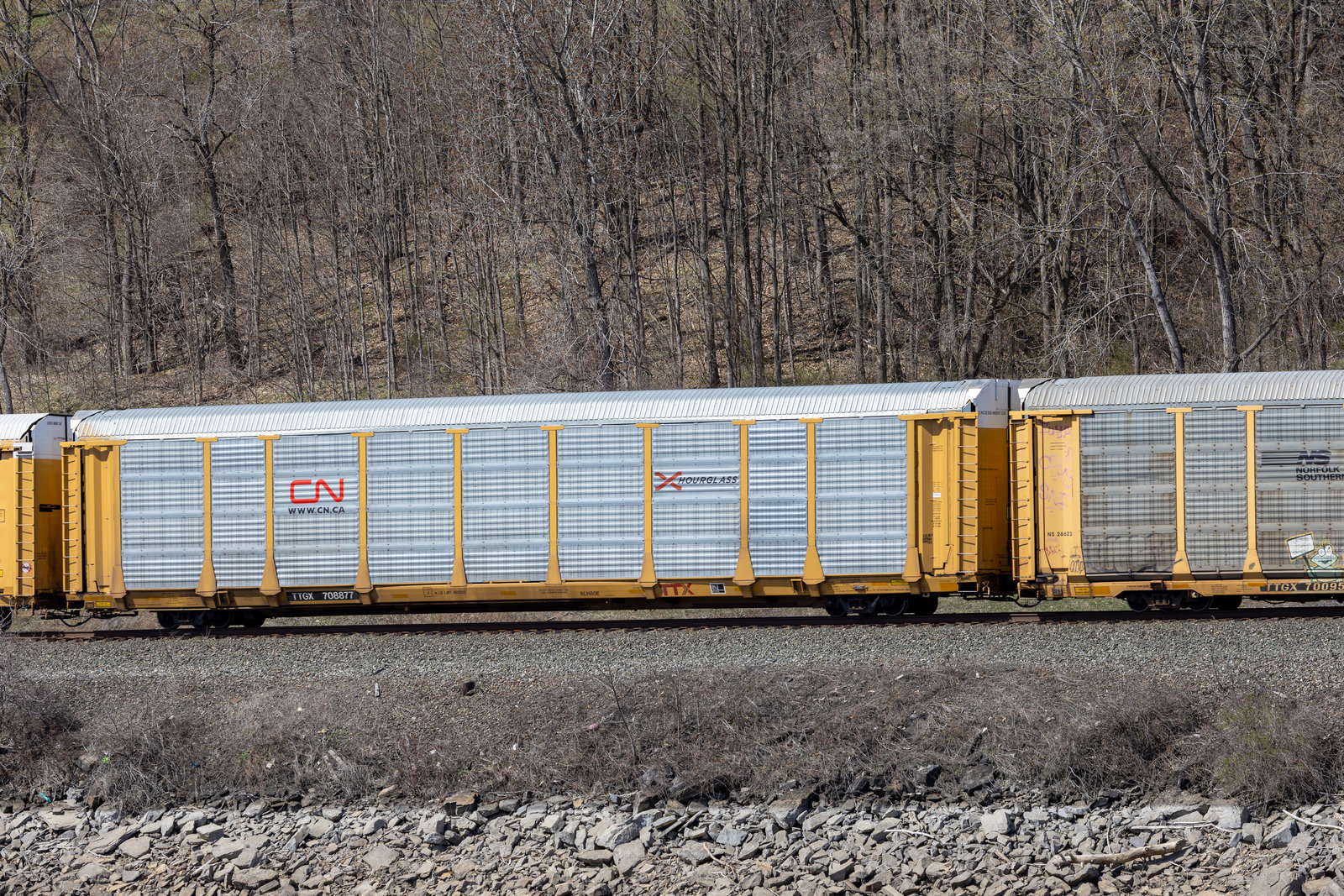 TTGX 708877