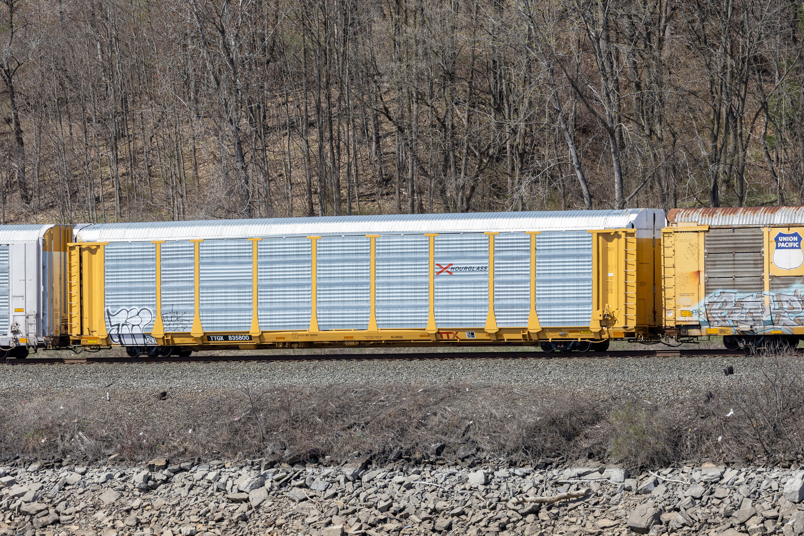 TTGX 835800