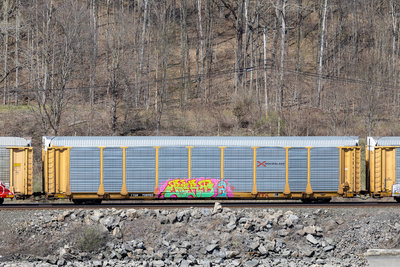 TTGX 708982