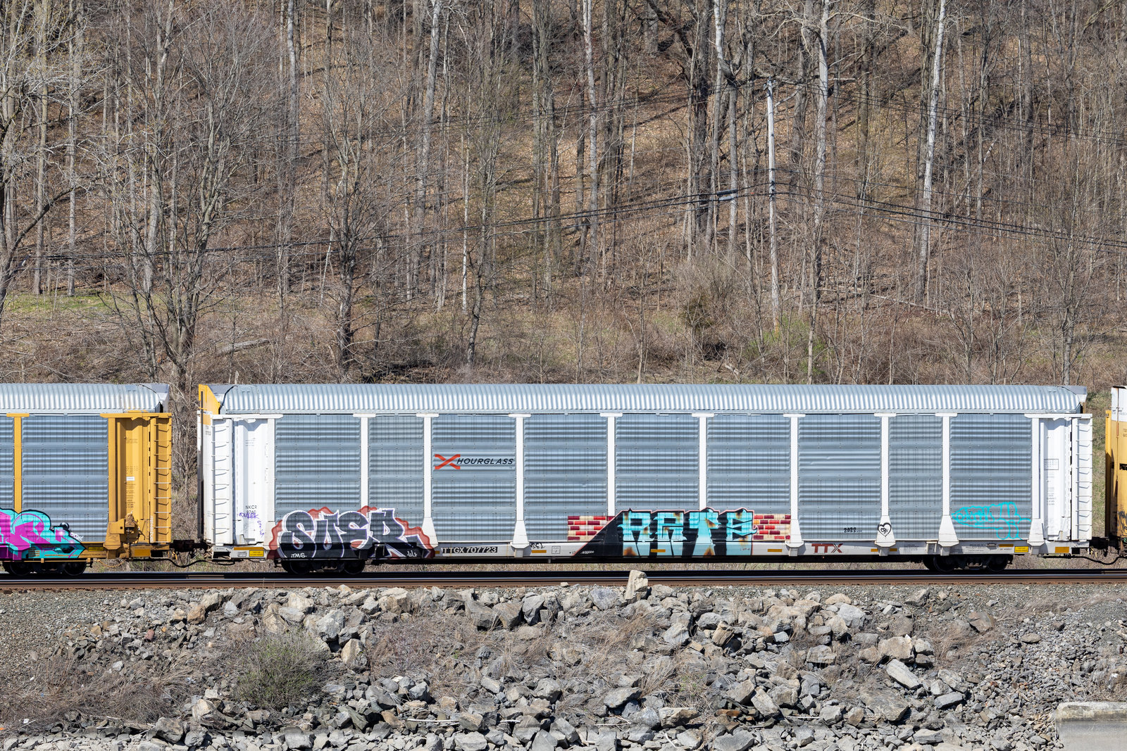 TTGX 707723
