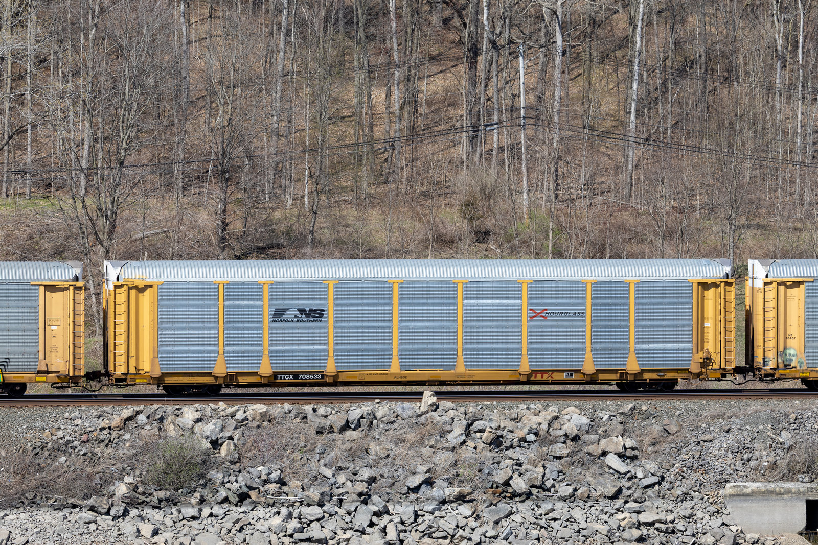 TTGX 708533