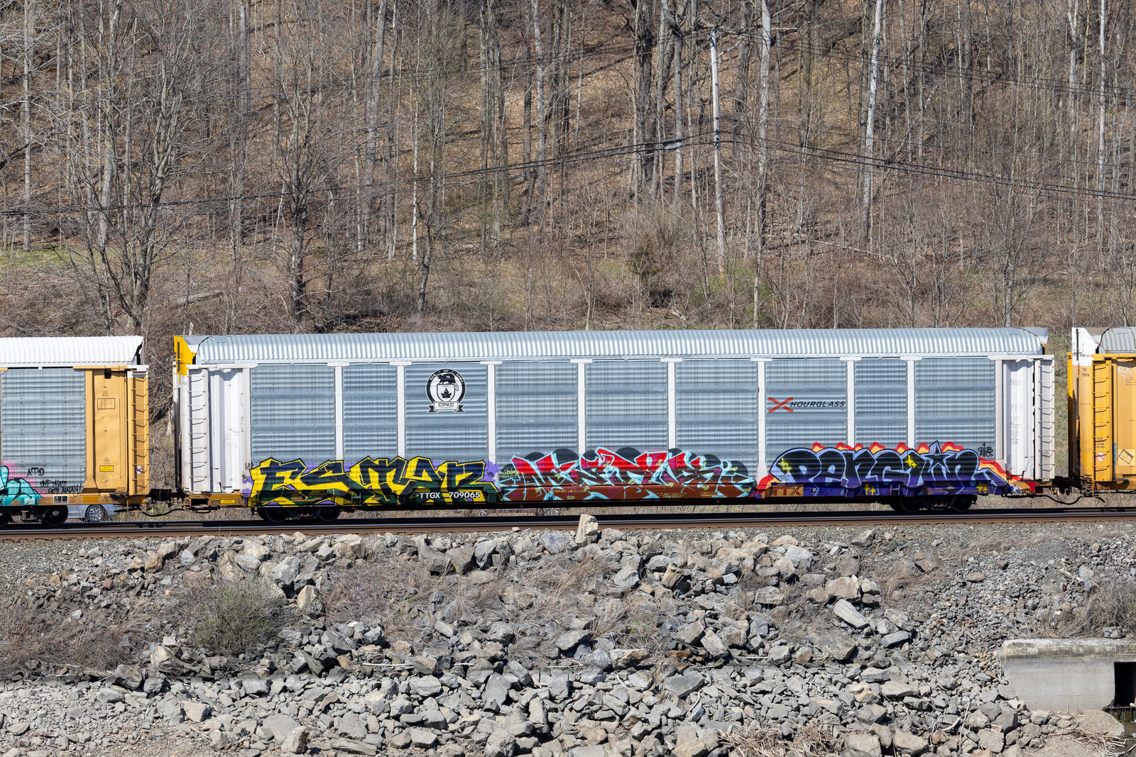 TTGX 709065