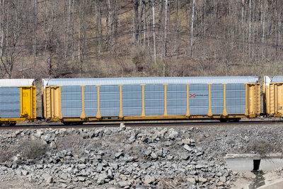 TTGX 701749