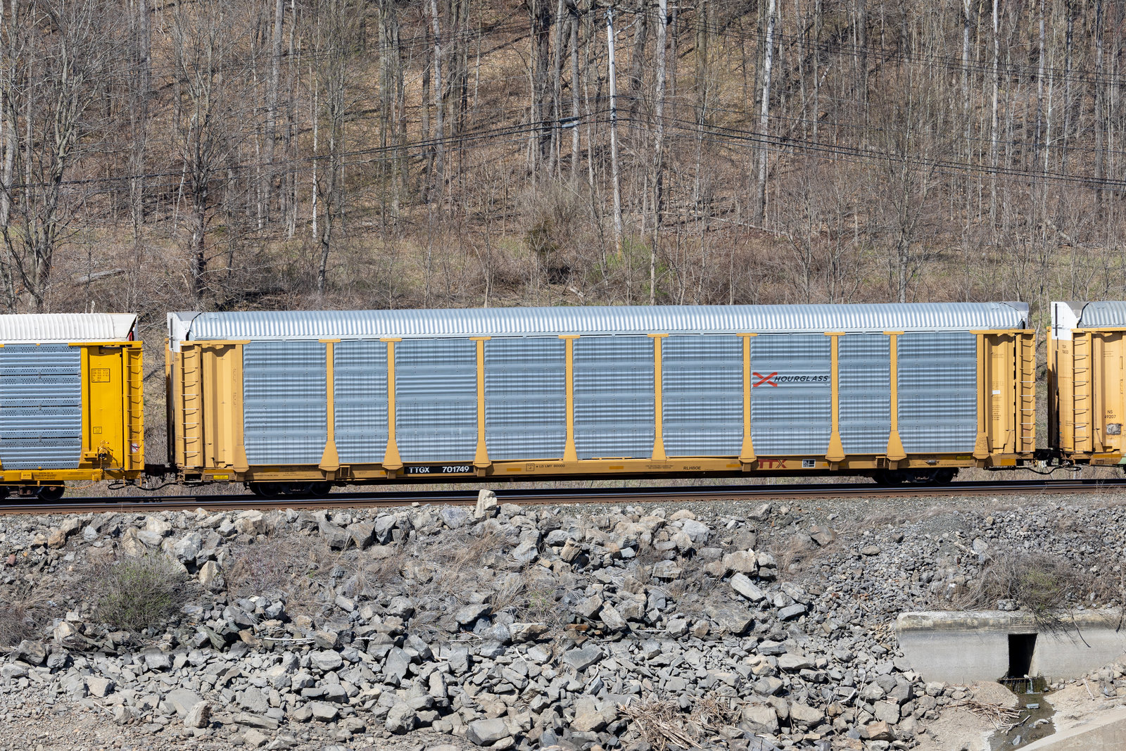 TTGX 701749