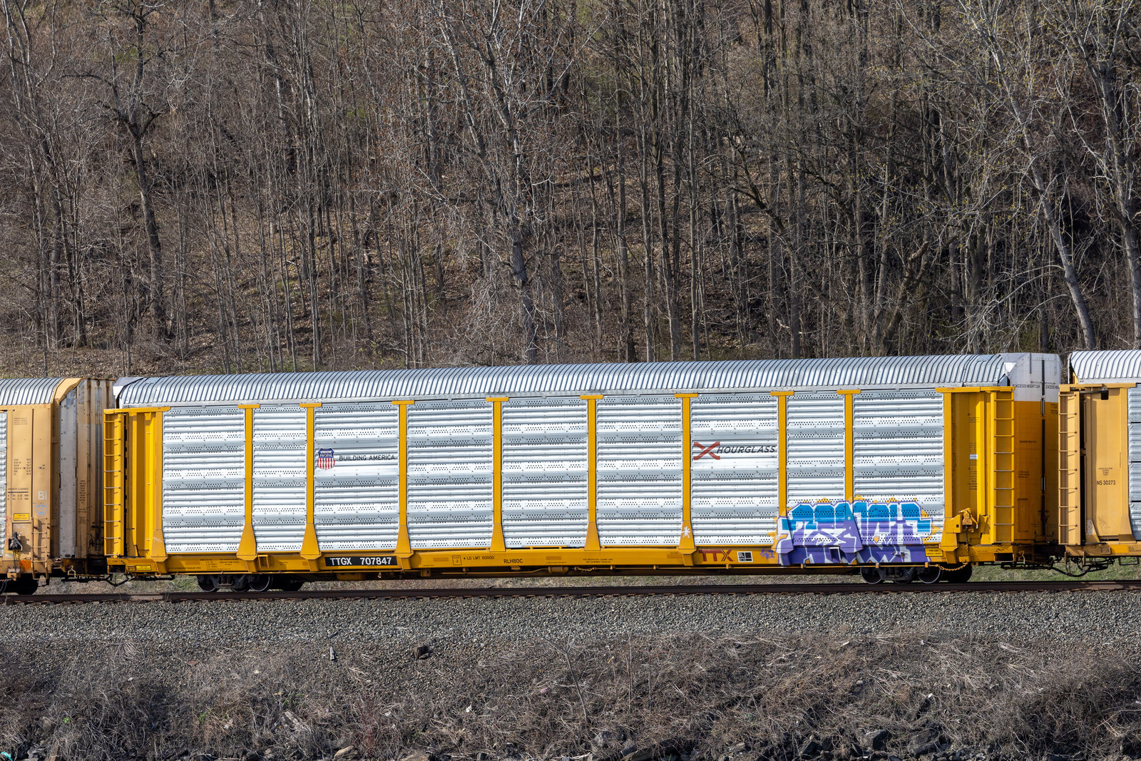 TTGX 707847