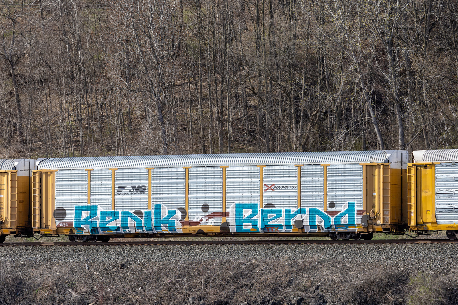 TTGX 708479