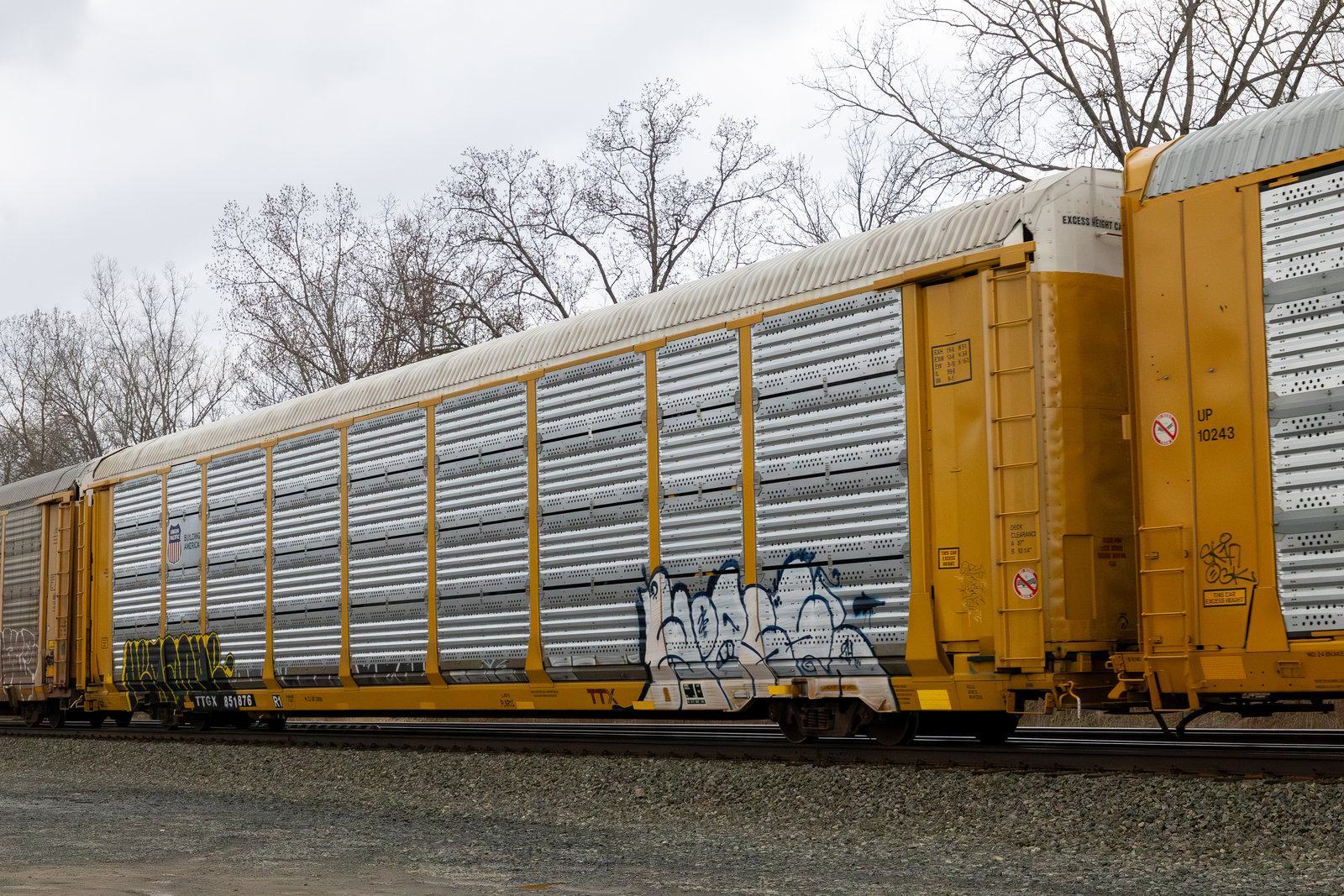 TTGX 851876