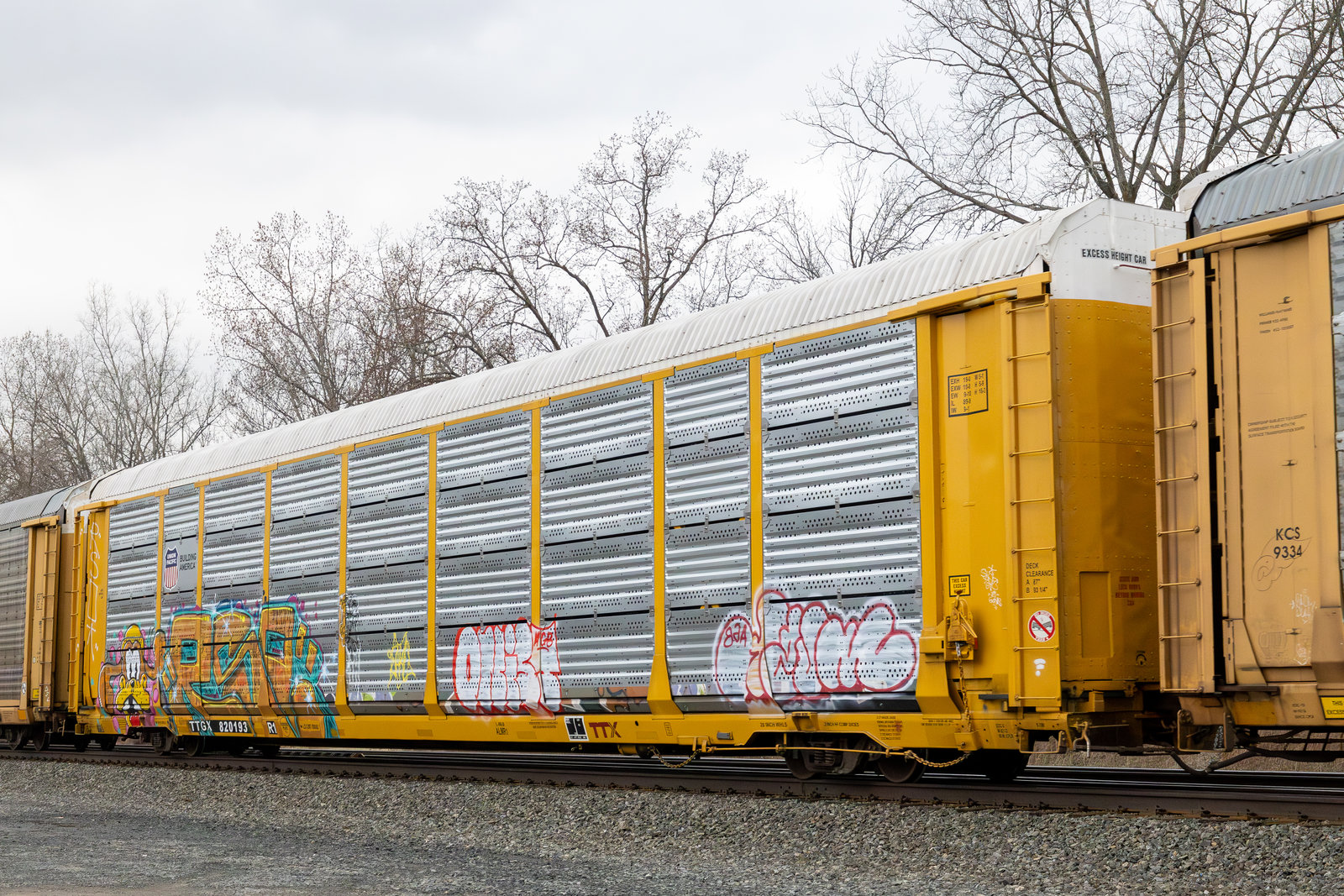 TTGX 820193