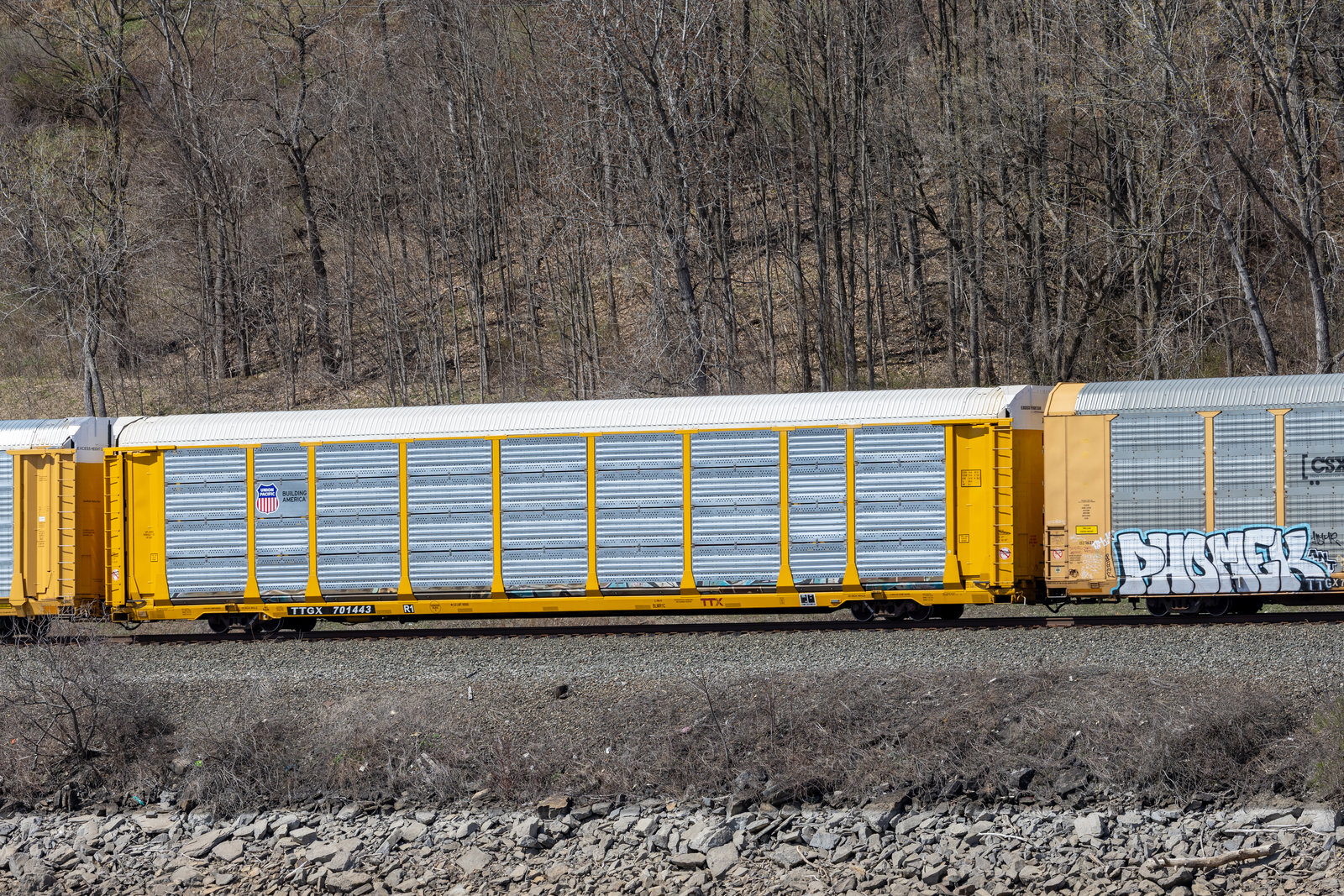 TTGX 701443