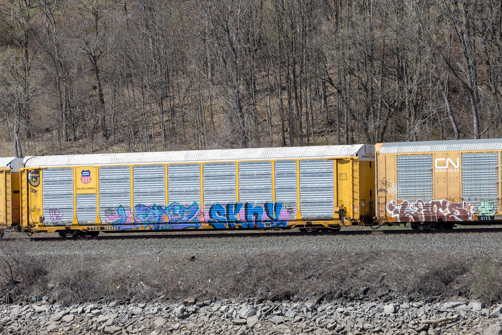 TTGX 700593