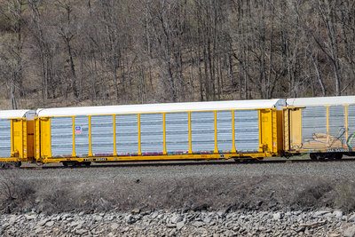 TTGX 820343