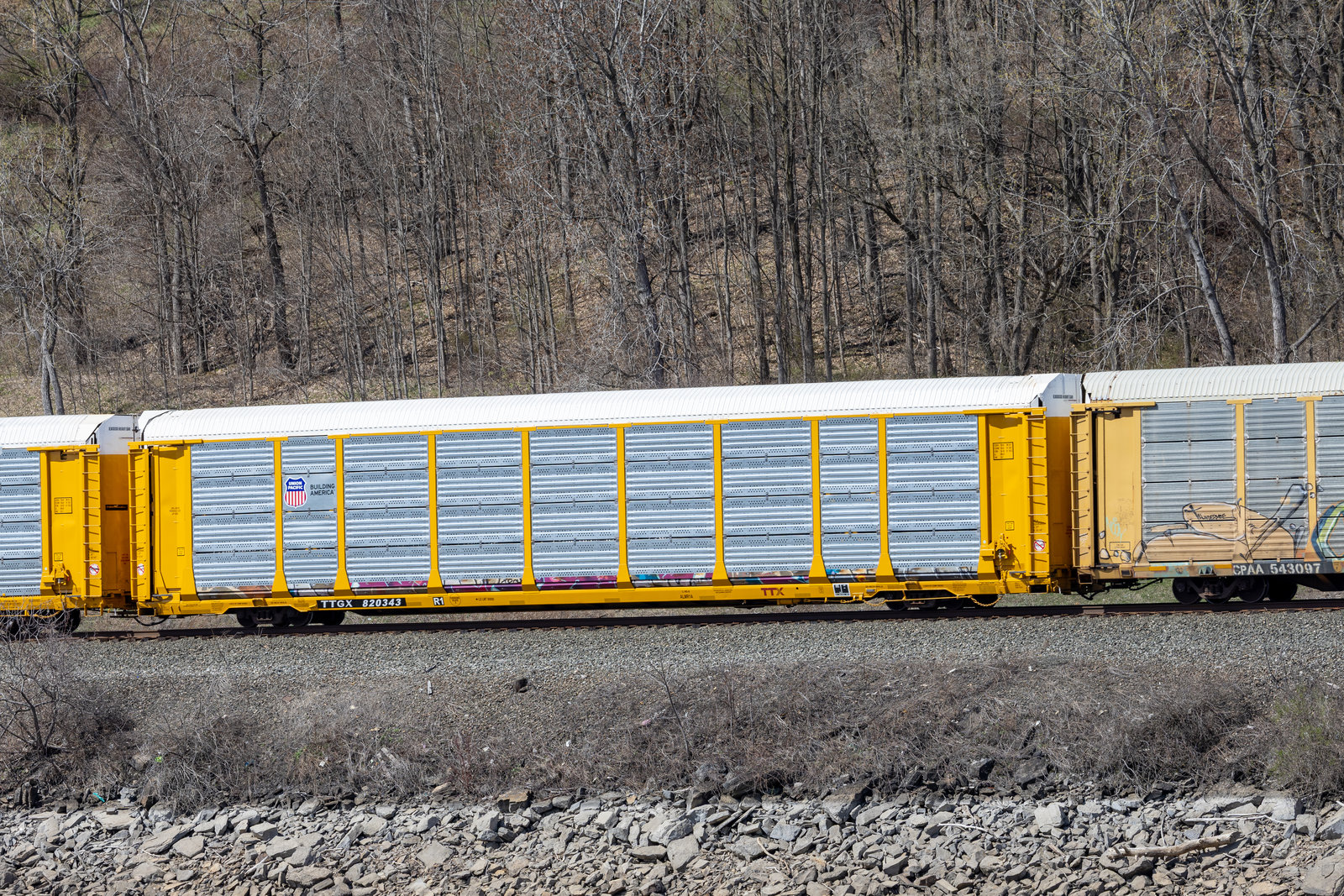 TTGX 820343