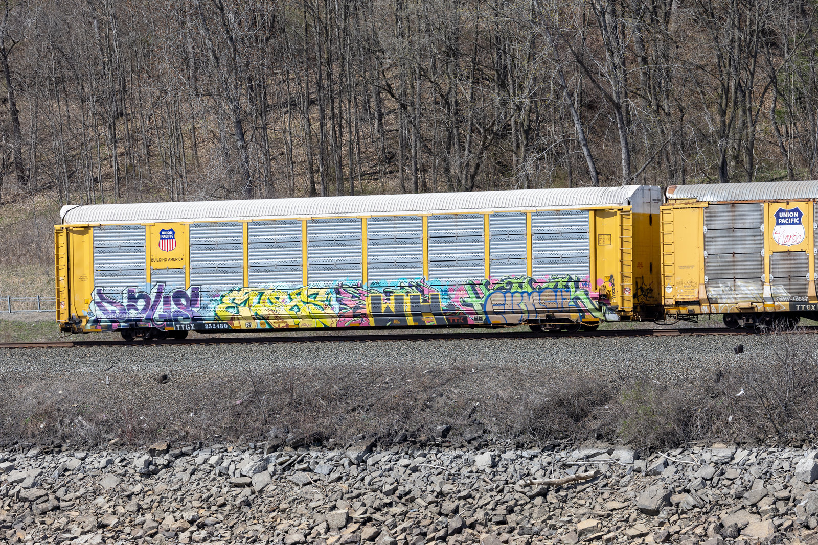 TTGX 852480